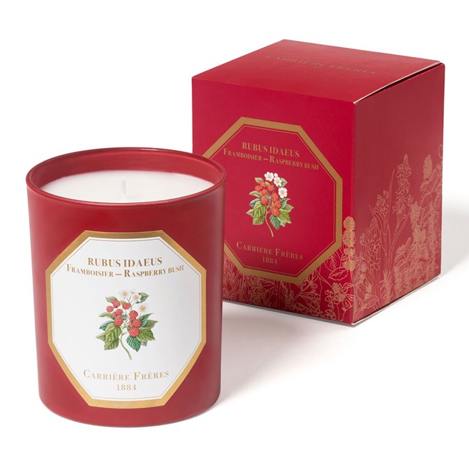 Carriére Fréres Limited Edition Raspberry Bush Candle