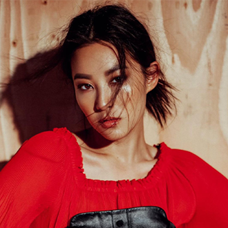 /media/61635/korean-toner-s.png